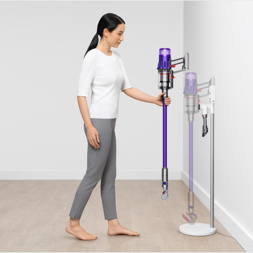 ES-DYS-STAND-001-V11