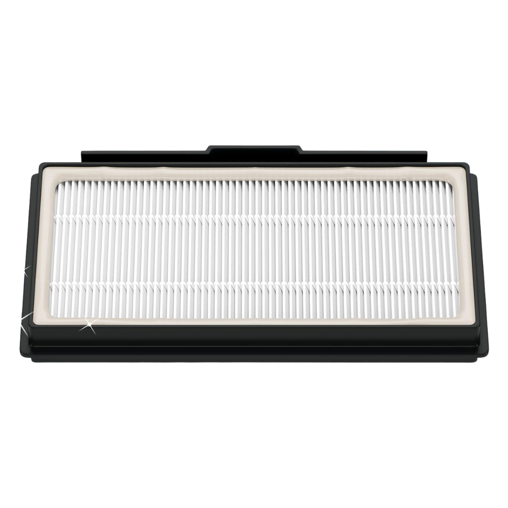 ES-BSH-FILTRE-009