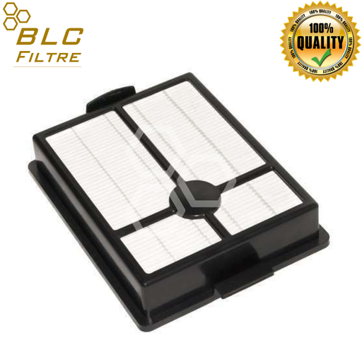 [ES-RAI-FILTRE-001] ES-RAI-FILTRE-001